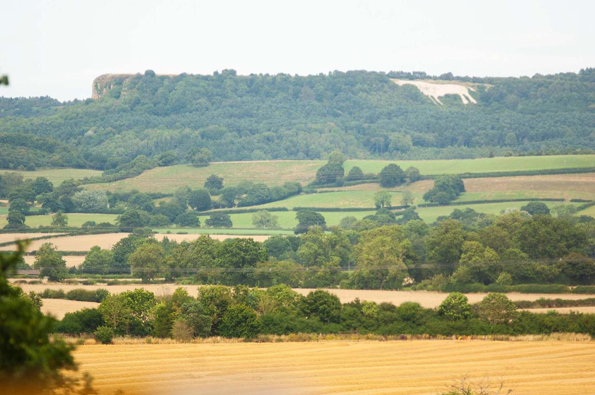 Thirkleby Burtree House & Retreats Tipi With Secluded Hot Tub酒店 外观 照片